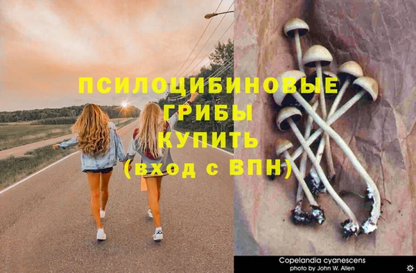 прущая мука Абдулино