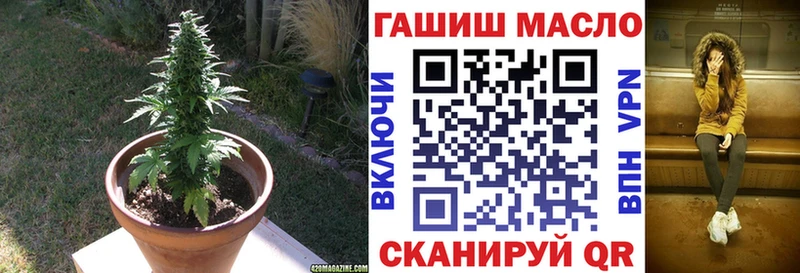 где найти   Шумерля  ОМГ ОМГ как войти  Дистиллят ТГК вейп 
