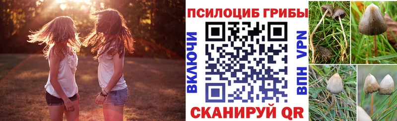 Псилоцибиновые грибы MAGIC MUSHROOMS  Шумерля 